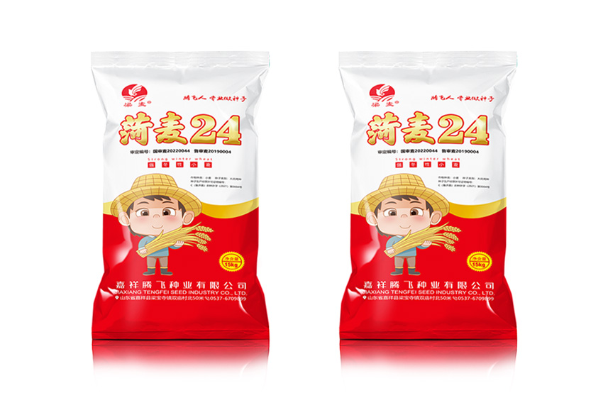 菏麦24