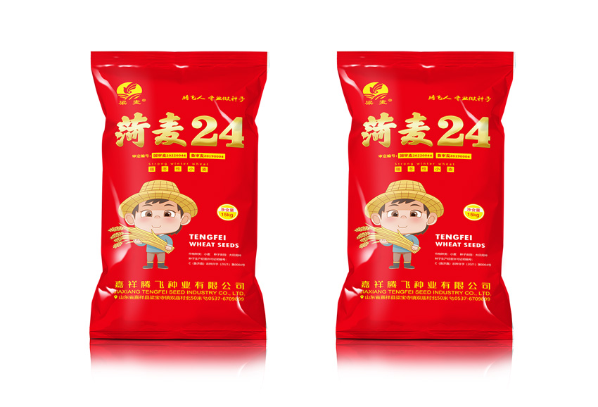菏麦24